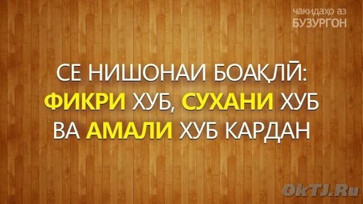 Картинка насихат. Фото панду насихат. Насихат. Панду насихат. Панду насихат точики.