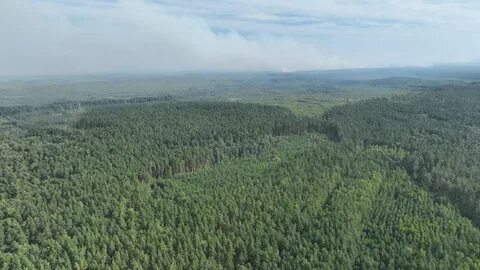 Забайкальский край гектар