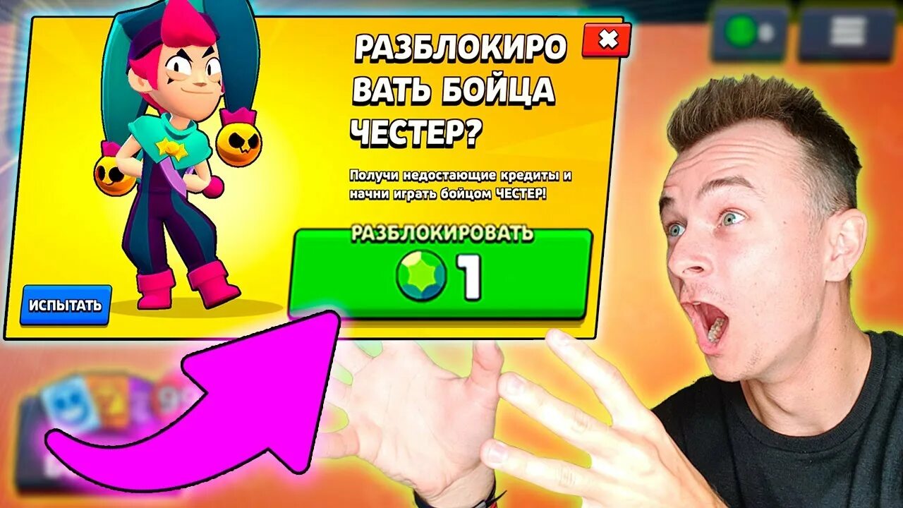 Как получить честера