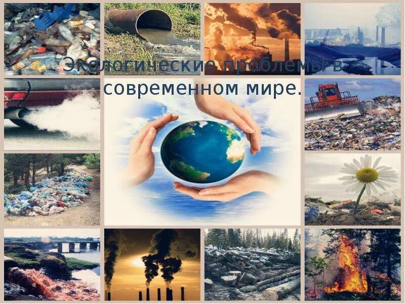 Проблемы экологии в современном мире. Экологические проблемы современного мира. Тема Environmental problems. Проблемы экологии в современном мире коллаж.