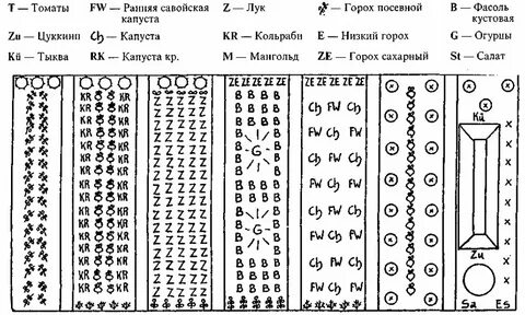 Схемы посадок овощей на грядках