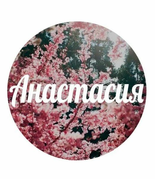 Поменять Имя Официально : @lastivka028 Анастасия Зеленская wish