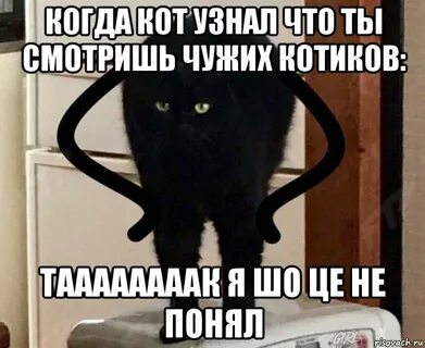 Что она ничего не поняла