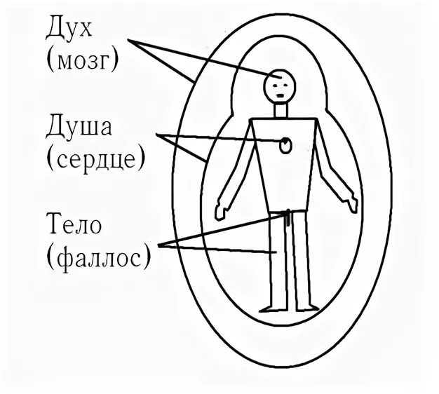 Дух духи и тел книга