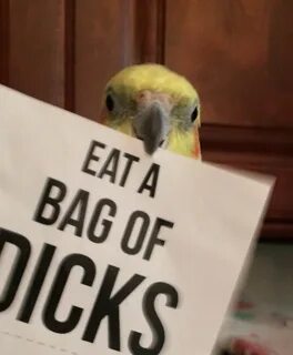 I can like bird