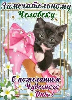 Зашла пожелать доброго