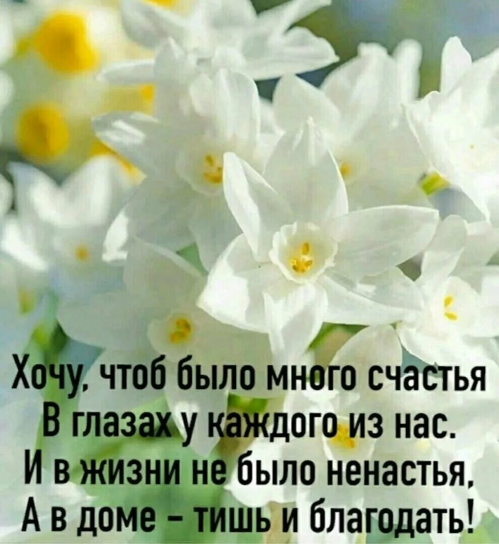 Светлых вам дней в жизни. Доброе утро светлых мыслей. с добрым утром с пожеланиями мудрыми. душевные пожелания с добрым утром. пожелание светлого доброго.