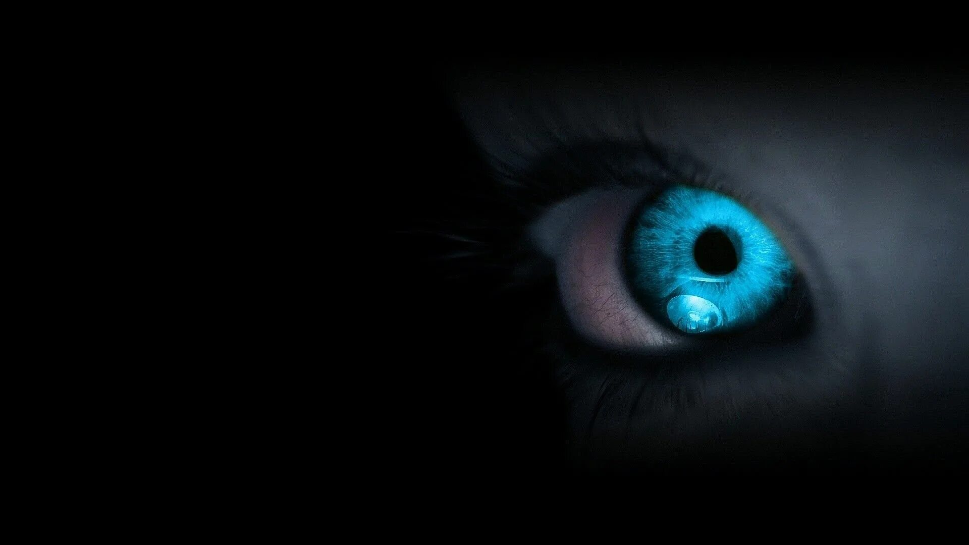 Светящиеся глаза. Глаз заставка на рабочий стол. Глаза в темноте. Светящиеся голубые глаза.