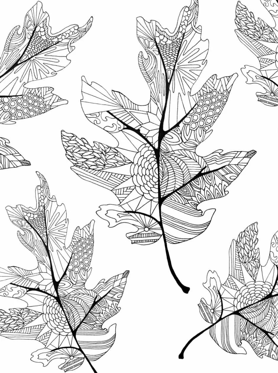 Стилизованные листья. Стилизация листа. Орнамент листья. Листья рисунок. Лист антистресс