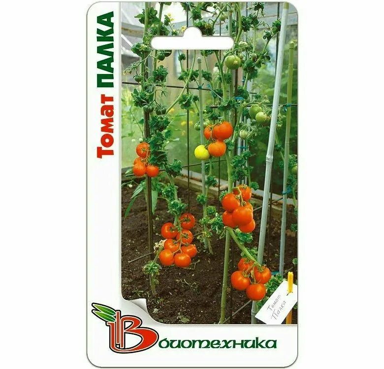 колоновидные томаты сорта. колоновидный томат палка. томат сорт «колоновидный». томат сорт палка. томат палка биотехника.