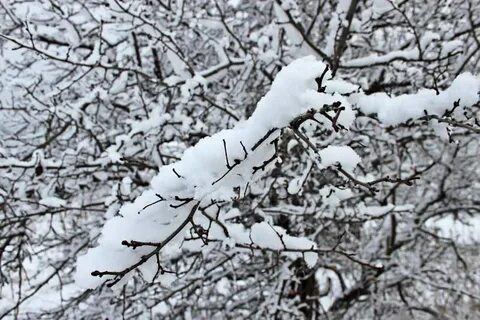 Выпал снег слушать