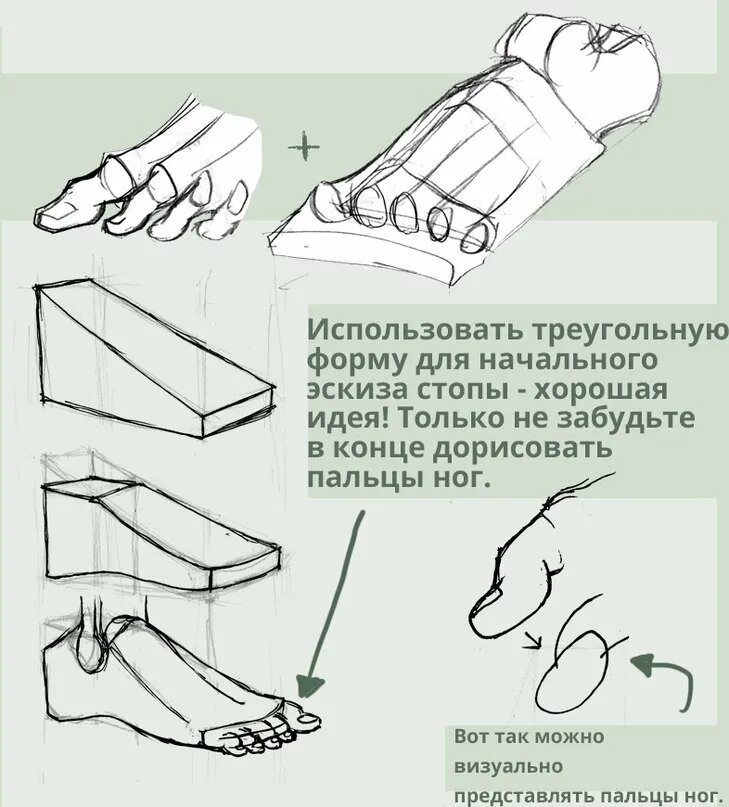 Схема стопы. Рисование стопы. Схема рисования ног. Схема человеческой стопы. Рисование ног.