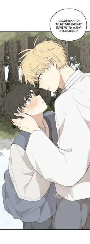 дорога где упала форзиция 38 глава