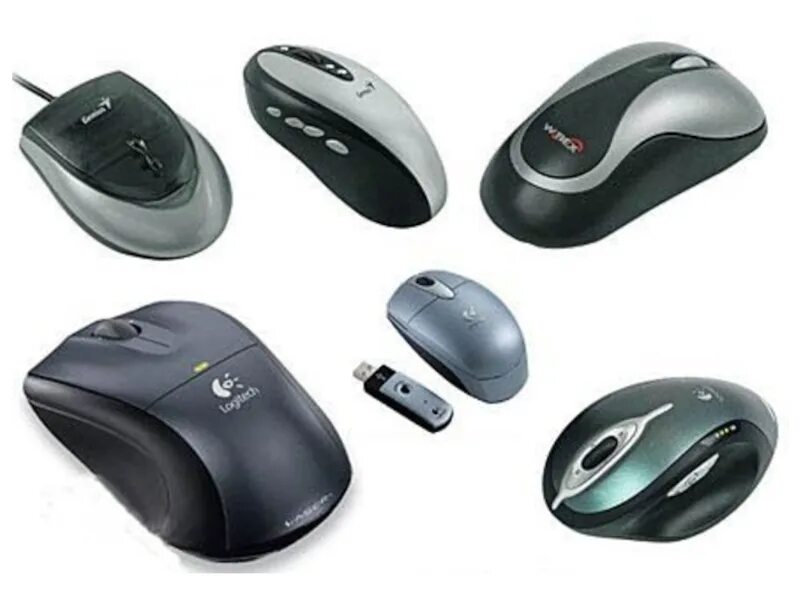 Фактор мыши. Манипуляторы (компьютерные мыши, джойстики, миди-клавиатуры);. Форма компьютерной мыши. Компьютерный манипулятор мышь. Формы компьютерных мышек.