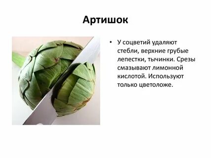Артишок свойства