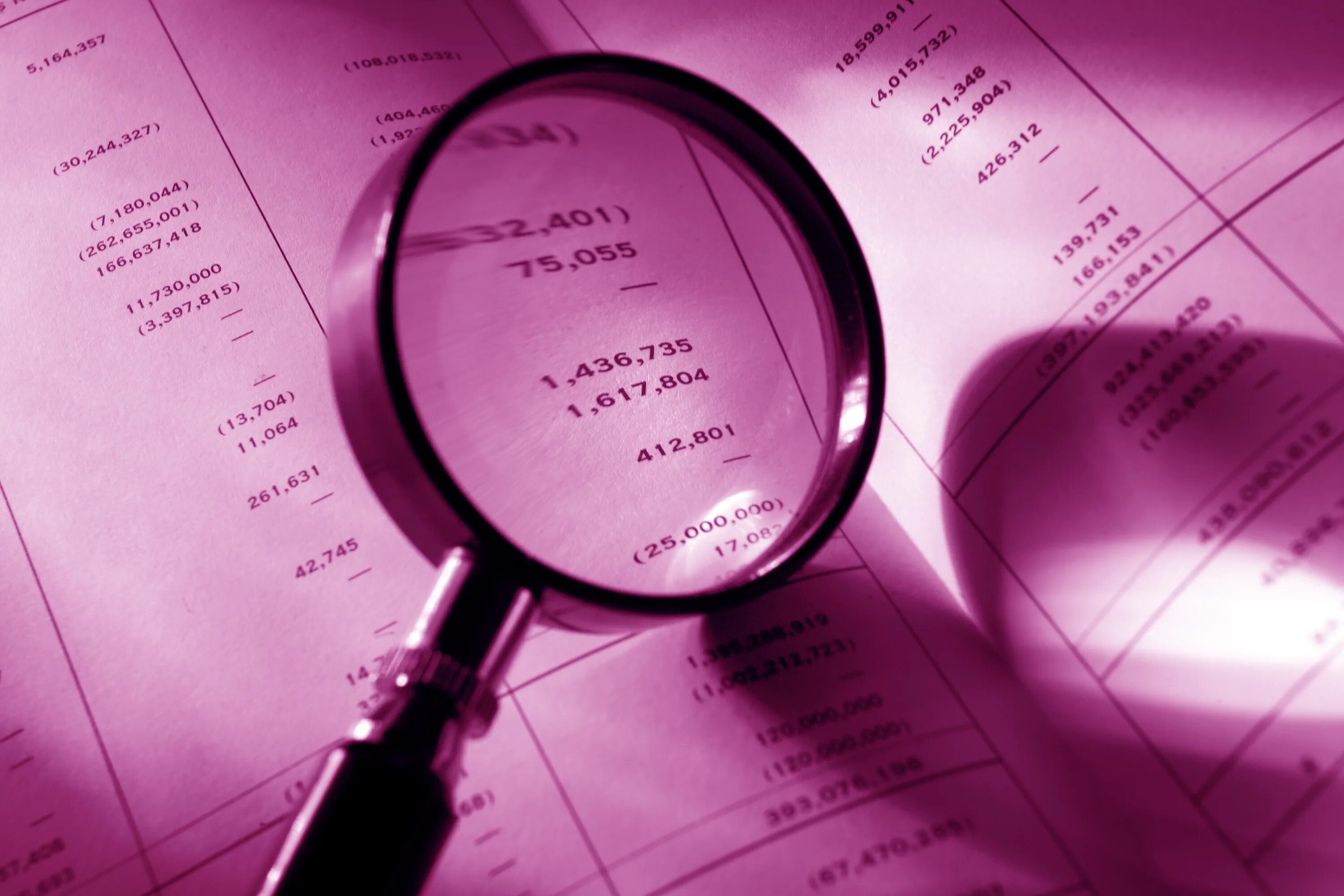 Audit organization
