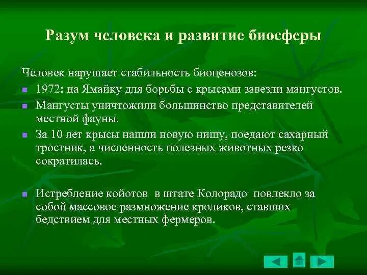 Ведущая роль в биосфере. Ведущая роль в биосфере