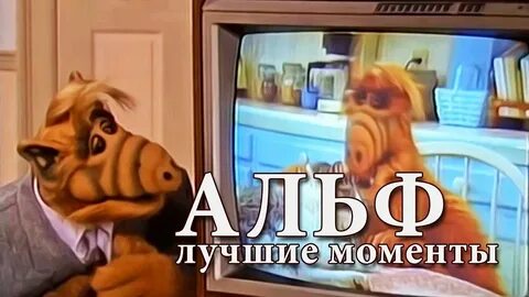 Альф санкт петербург