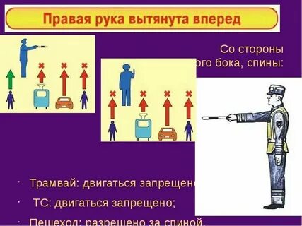 Как запомнить регулировщика пдд 2024