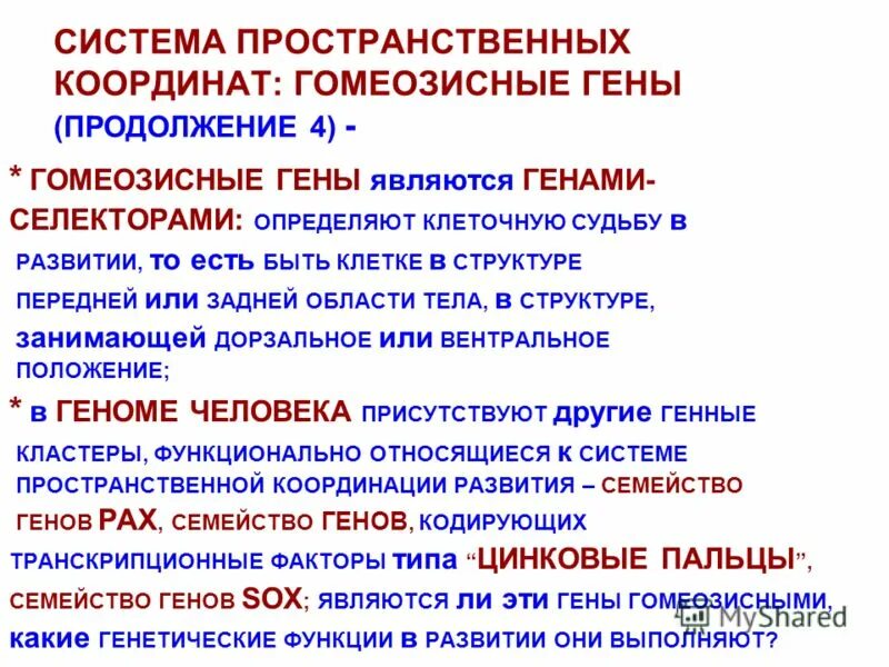Эмбриология задачи и методы. Прогенез и эмбриогенез. Прогенез это в эмбриологии. Ооплазматическая сегрегация. Прогенез и эмбриогенез.
