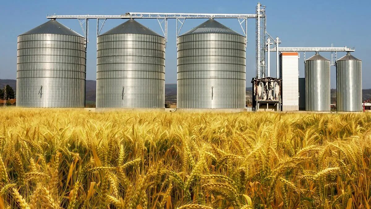 Сельское хозяйство россии. Агропромышленный комплекс ростовской области. Аграрное промышленное производство. Сельское хозяйство. Аграрное промышленное производство.