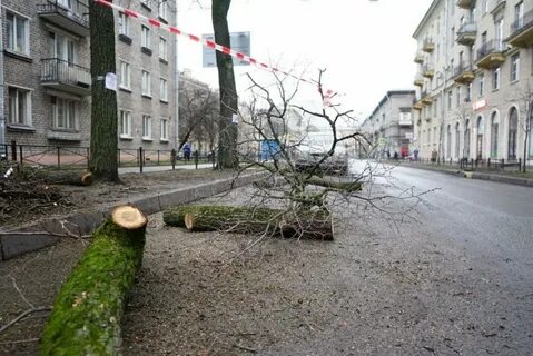 Переулок 5 утра