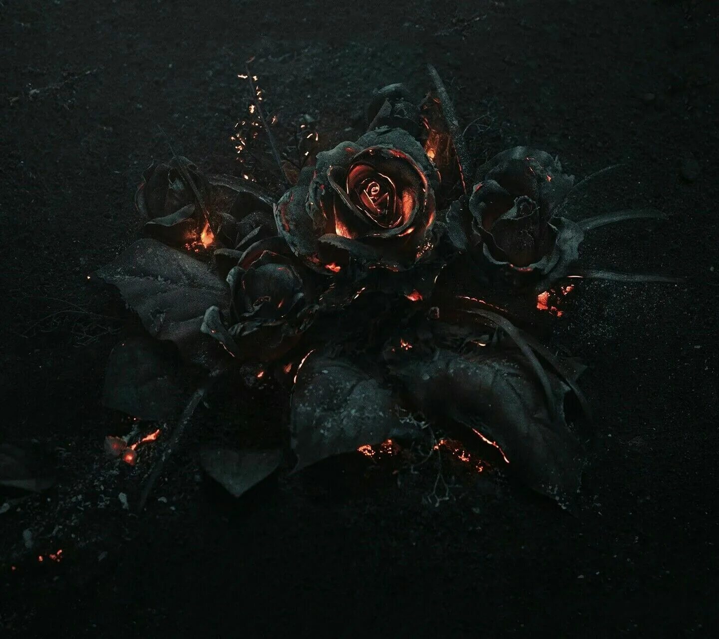 The dark flower. The dark flower