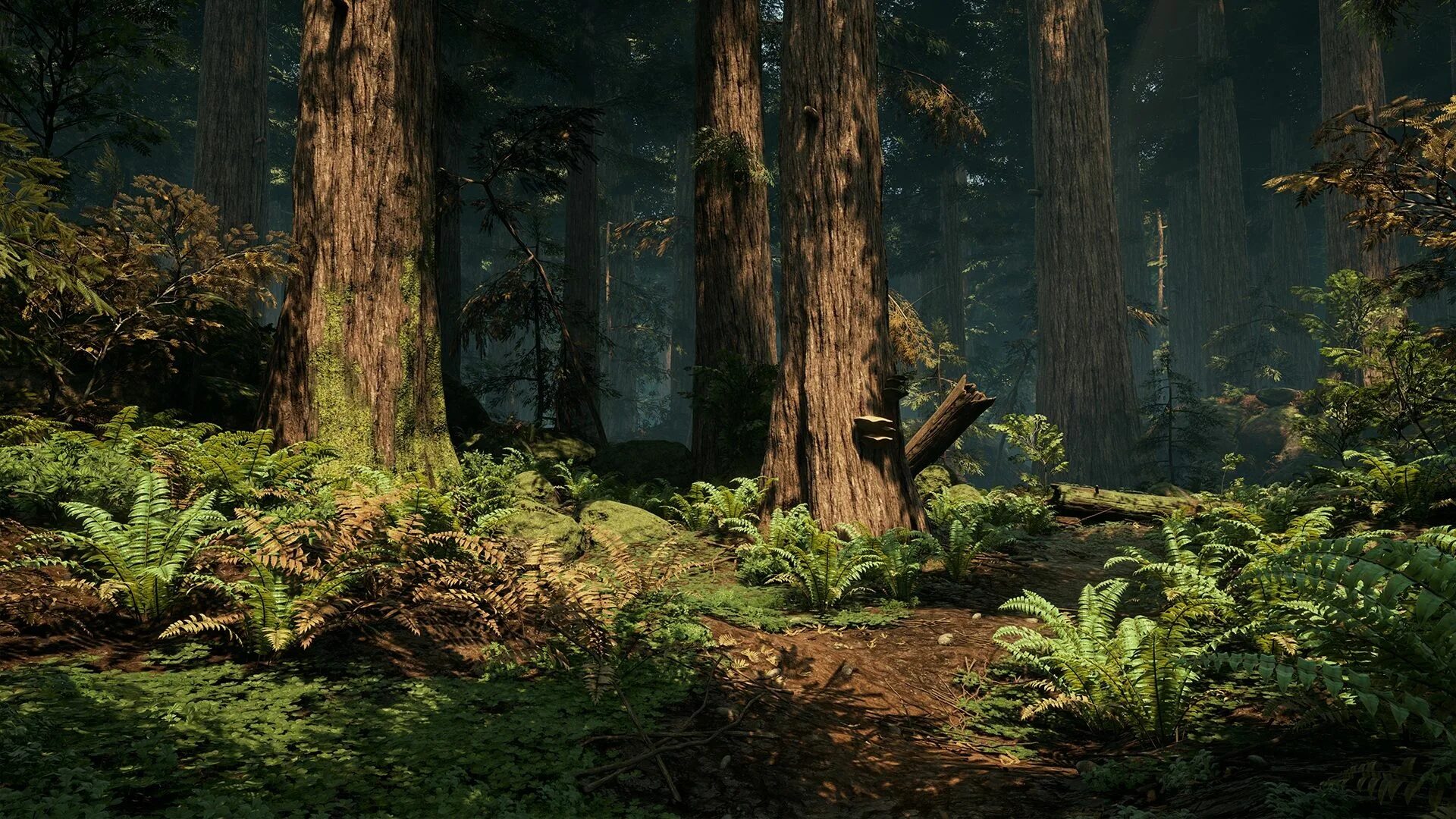 R environment