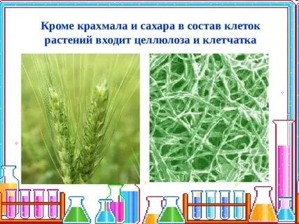 В состав растений входит