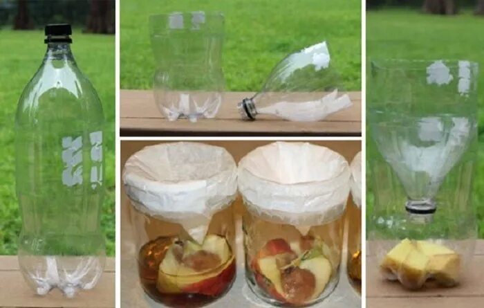 ловушка для мух из бутылки