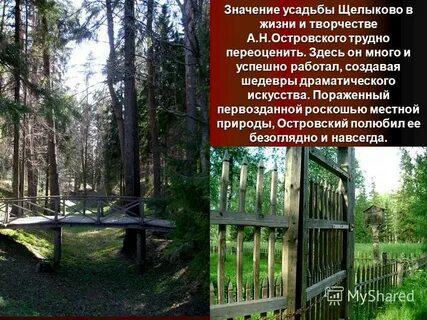 Погода в щелыково костромская область