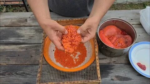 Как засолить икру красной рыбы