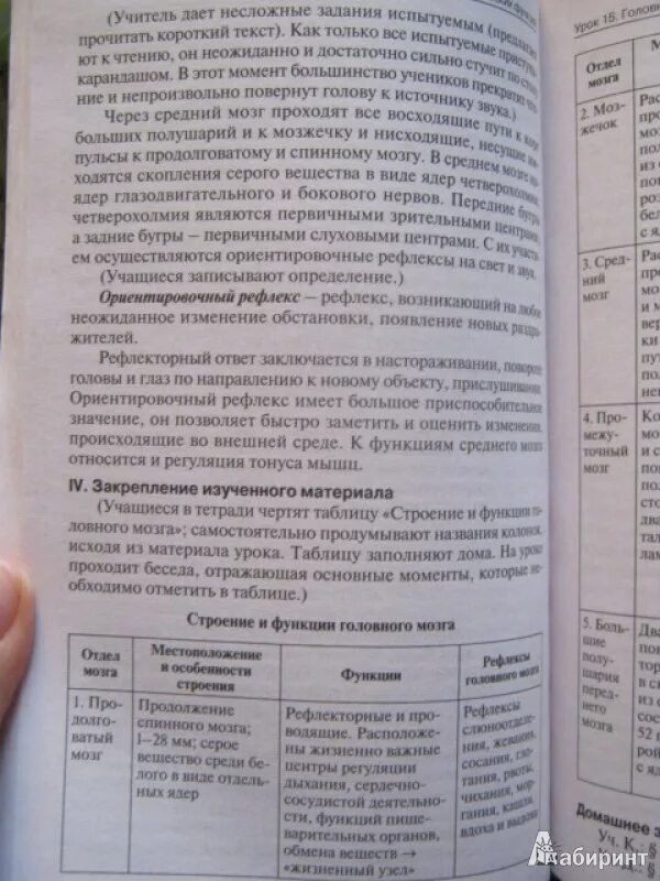 Биология 9 класс поурочные разработки. Поурочные разработки по биологии. биология 8 класс поурочные разработки. поурочные разработки 9 класс биология. поурочные разработки биология 8-9 класс.