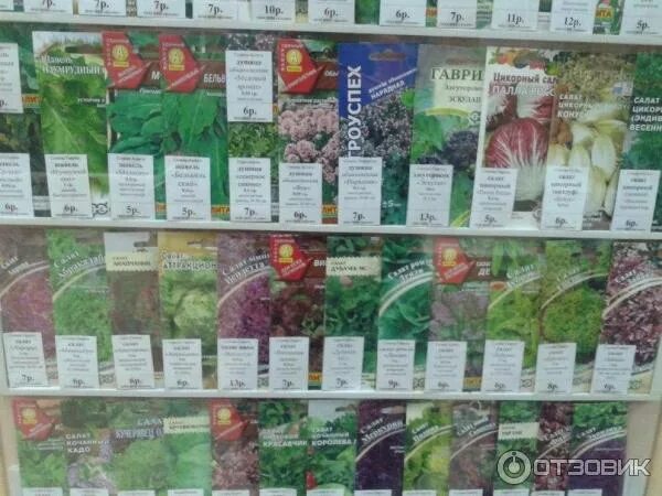 магазин урожай в екатеринбурге. новый урожай в магазинах. магазин урожай рязань. магазин урожай. магазин урожай.