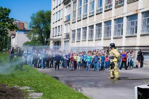 Гимназия 248