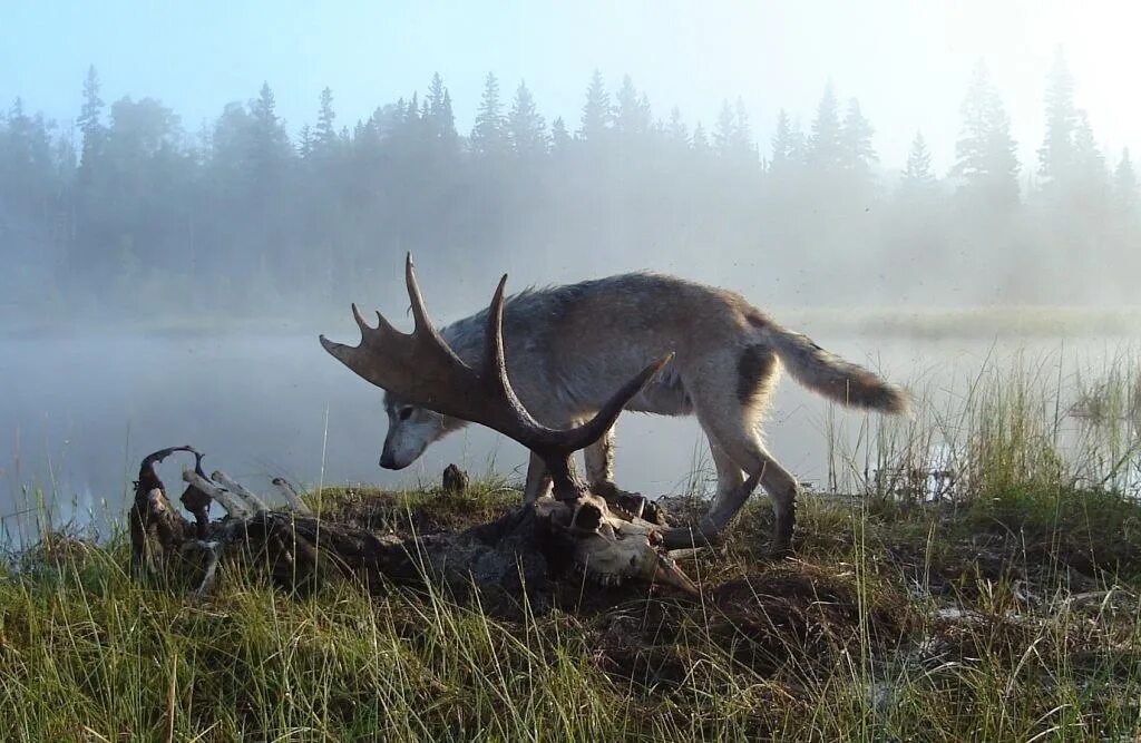 Не связанные с добычей