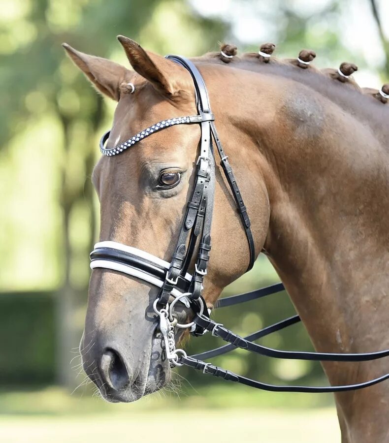Мартингал тодемана. Уздечка для лошади из кожи. Уздечка хакамора. Кожа на уздечке. Уздечка horseware micklem.