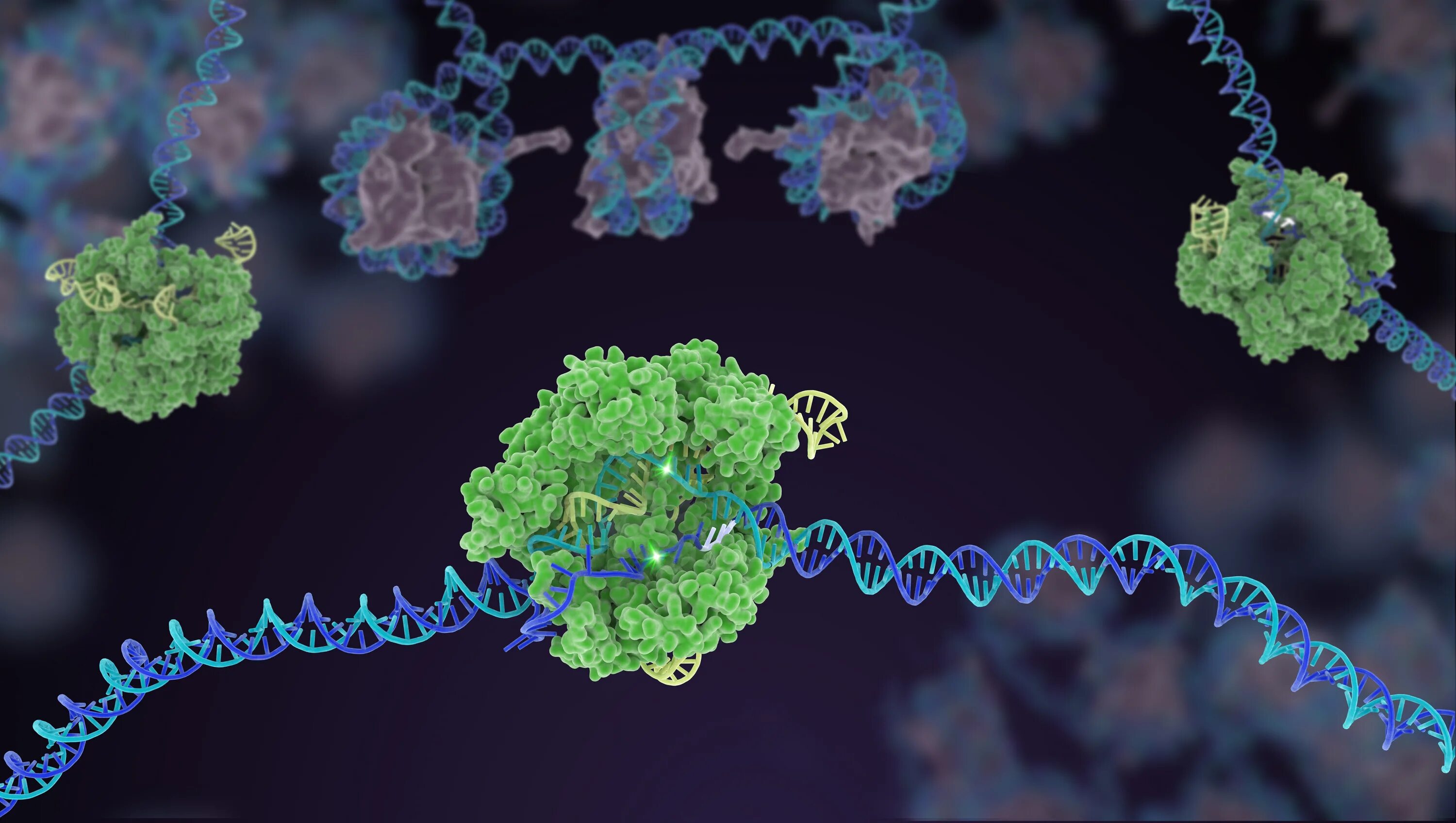 Ген это фрагмент молекулы. CRISPR cas9. Редактирование Гена CRISPR‐cas9. CRISPR/cas9 редактирование генов. Редактирование генома с CRISPR/cas9.