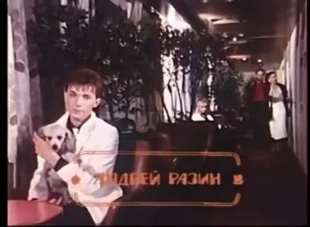 Старый лес разин