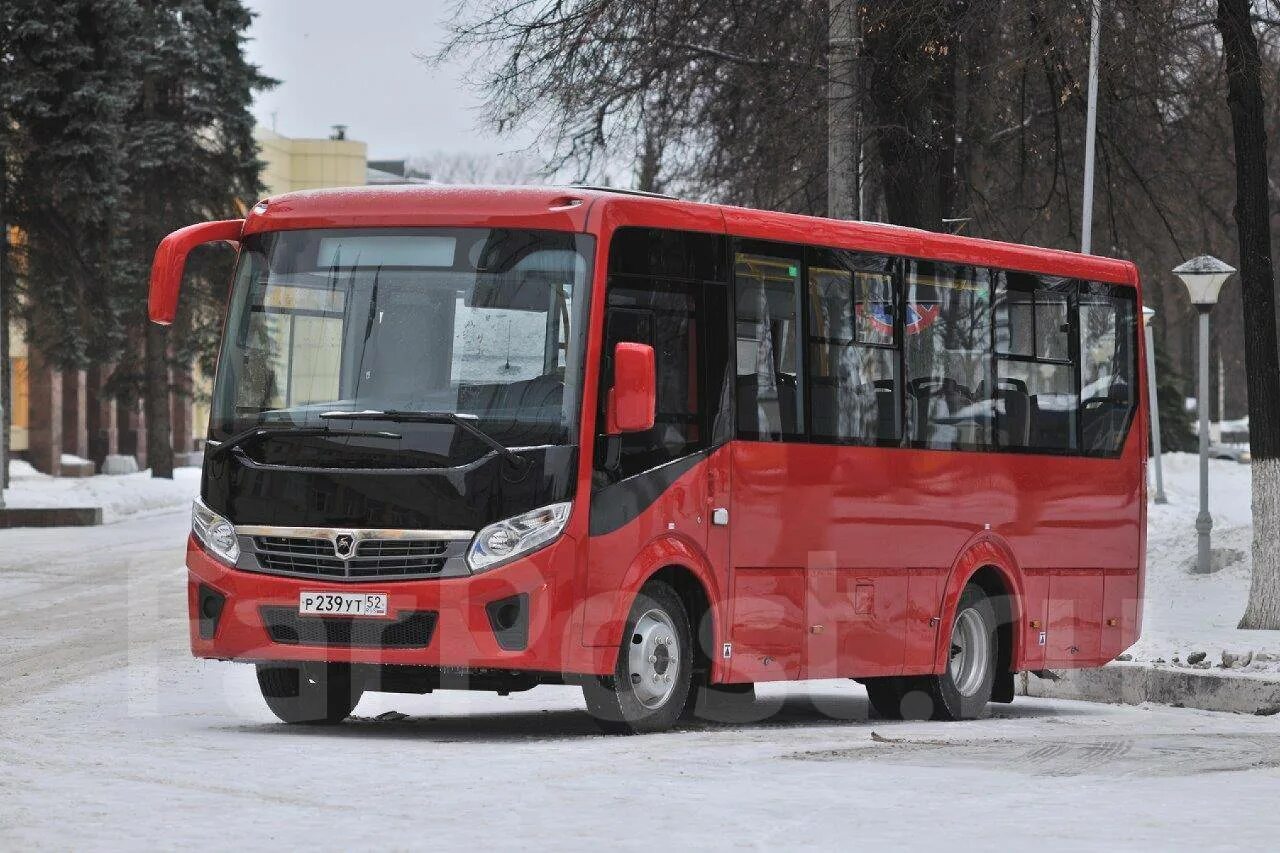Газель вектор некст автобус. 8. Пазик вектор. Паз 3204 vector. Паз 320405-04.