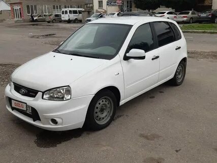Калина 1 белая