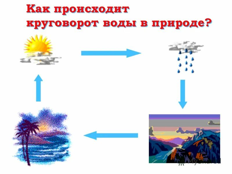 Большой и малый круг кровообращения схема кратко. Как происходит циркуляция. Типы круговоротов воды в природе. Общая циркуляция атмосферы. Атмосферная циркуляция.