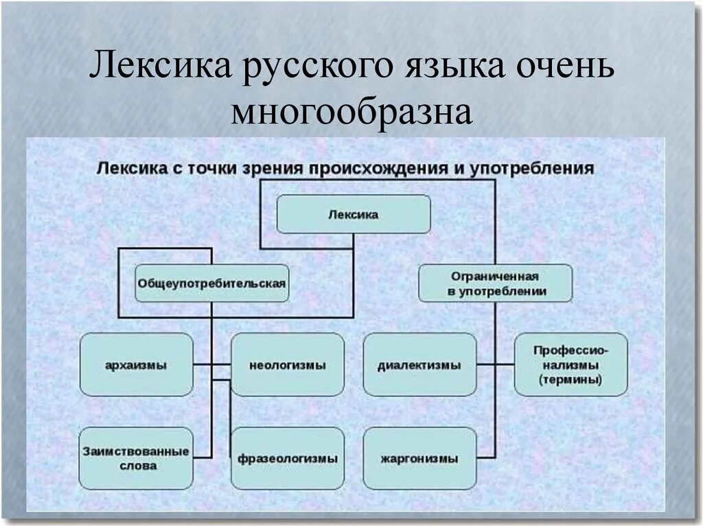 Лексика русского языка. Лексика русского языка многообразна. Богатство русского языка схема. Платы русской лексики.