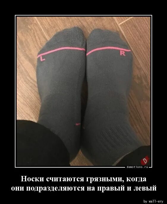 Российские фабрики носков. Носки "панды". Баннер носки для всей семьи. Презентация носков для продажи. Интересные факты о носках.