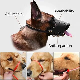 Dogs листинг