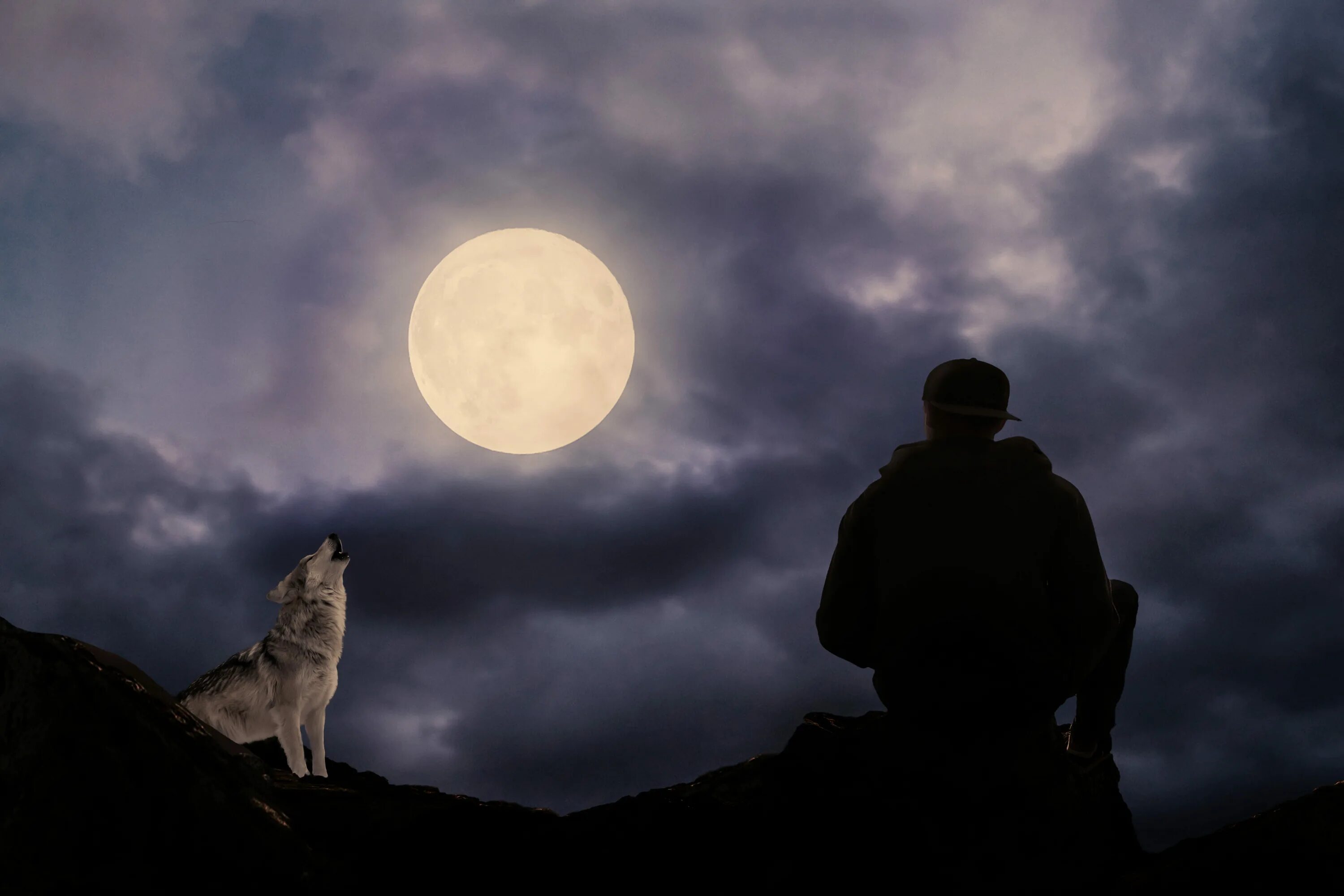Розов одинокая луна. Полнолуние Волчья Луна. Волчья Луна 2022. Человек на Луне. Одинокий человек и Луна.