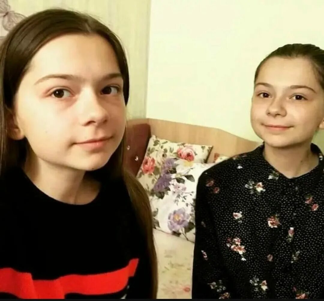 Страшилки майер. Страшилки майер. Непета страшилки баку пожиратель снов. Страшилки майер. Страшилки майер.