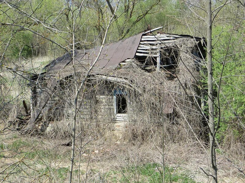 Погода в пальне михайловке липецкой. Погода в пальне михайловке липецкой. Пальна михайловка. Погода в пальне михайловке липецкой. Пальна-михайловка усадьба.