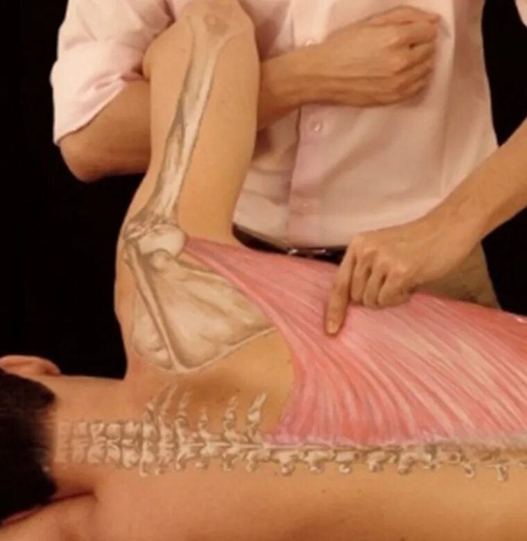 миофасциальный массаж. техника миофасциального массажа. техника миофасциального массажа. миофасциальный массаж лица показания. техника миофасциального массажа.