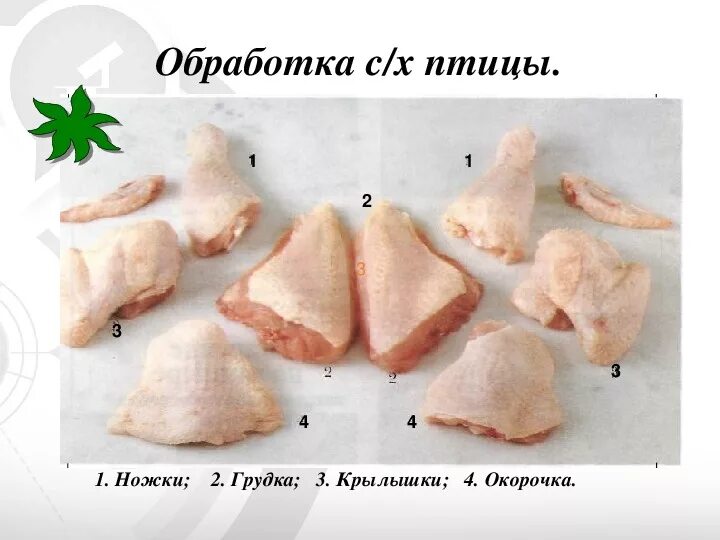 Приготовление полуфабрикатов из филе птицы. Полуфабрикаты из курицы. приготовление полуфабрикатов из курицы. порционные полуфабрикаты из курицы.